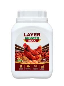 Layer-Growth-Max.webp
